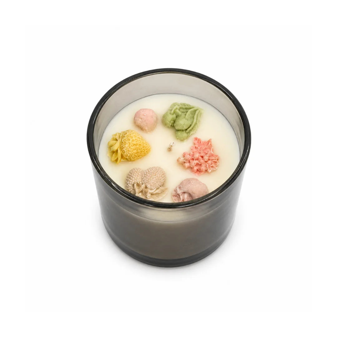 Candy Land Candle
